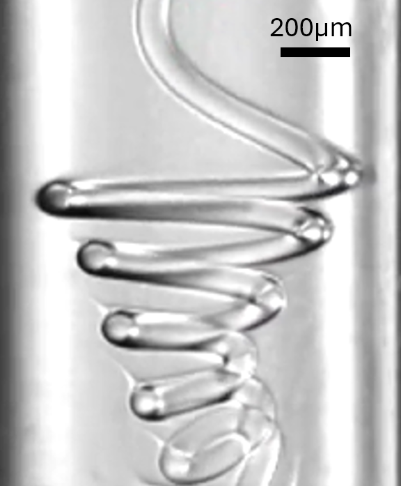 High-throughput measurement of elastic moduli of microfibers by rope coiling
